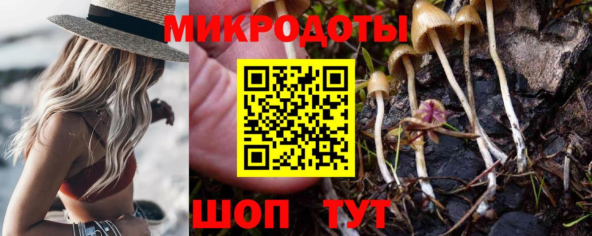Алушта  Псилоцибиновые грибы Psilocybe  Вход с VPN 