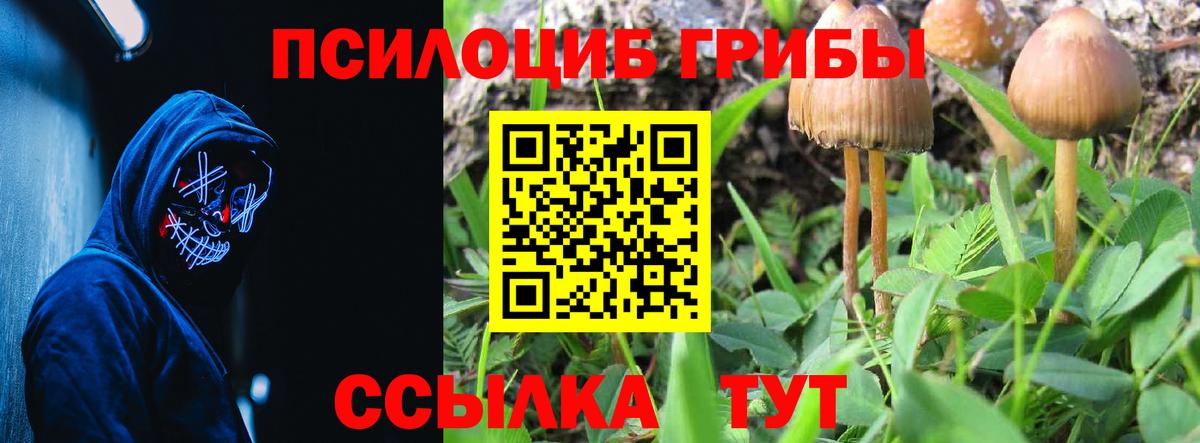 Галлюциногенные грибы прущие грибы Алушта